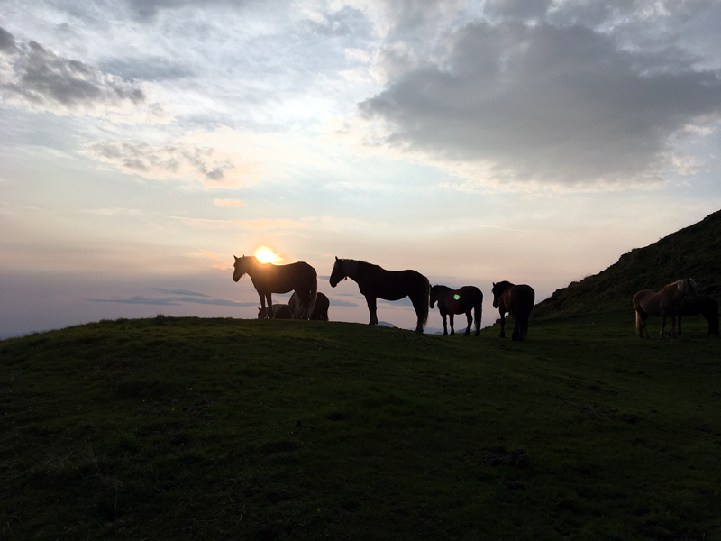 Auftanken in der Morgenenergie - Sonnenaufgangswanderung